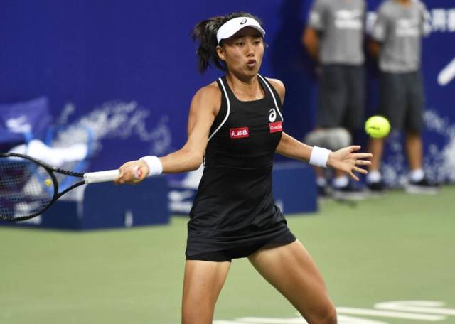 标交织下的 标交织下的